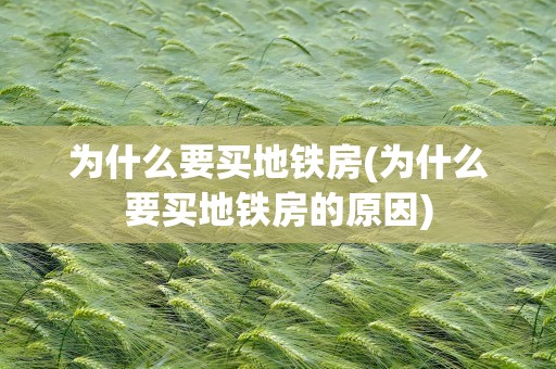 为什么要买地铁房(为什么要买地铁房的原因)