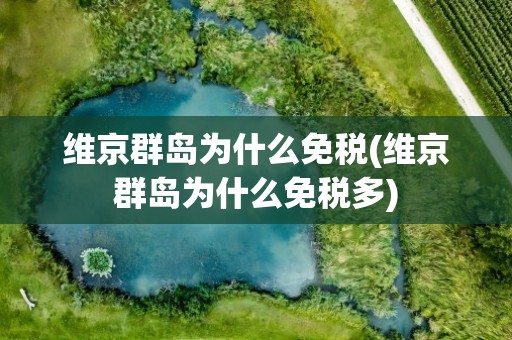 维京群岛为什么免税(维京群岛为什么免税多)