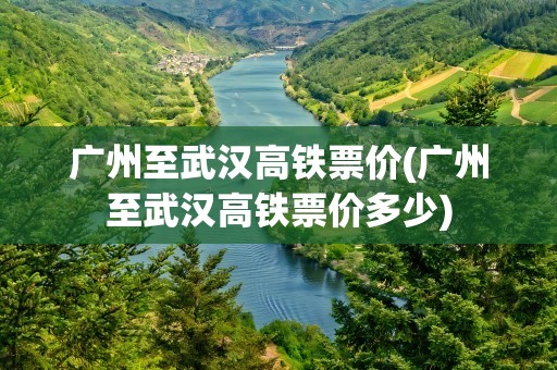 广州至武汉高铁票价(广州至武汉高铁票价多少)