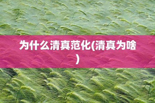 为什么清真范化(清真为啥)