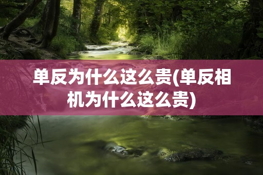 单反为什么这么贵(单反相机为什么这么贵)
