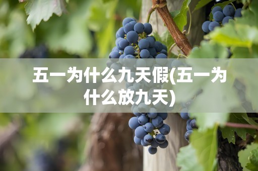 五一为什么九天假(五一为什么放九天)