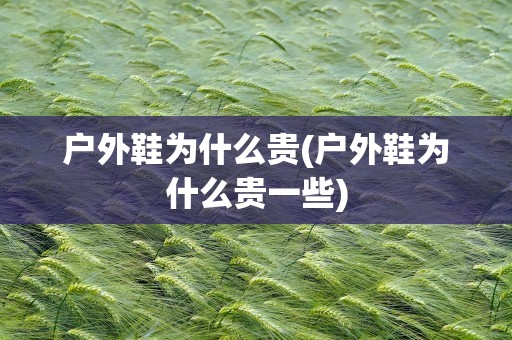 户外鞋为什么贵(户外鞋为什么贵一些)