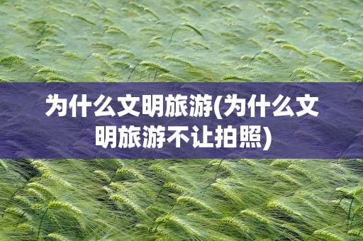 为什么文明旅游(为什么文明旅游不让拍照)