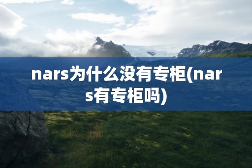 nars为什么没有专柜(nars有专柜吗)