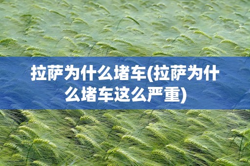 拉萨为什么堵车(拉萨为什么堵车这么严重)