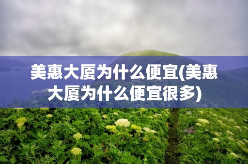 美惠大厦为什么便宜(美惠大厦为什么便宜很多)