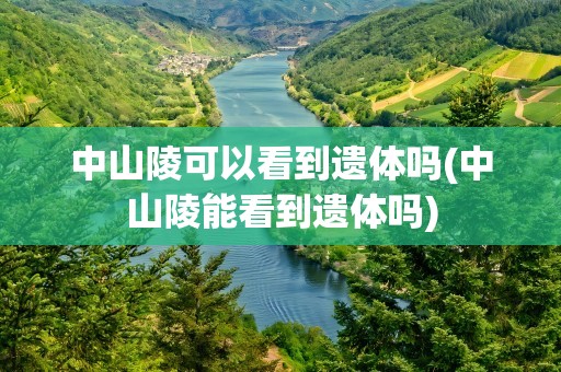 中山陵可以看到遗体吗(中山陵能看到遗体吗)
