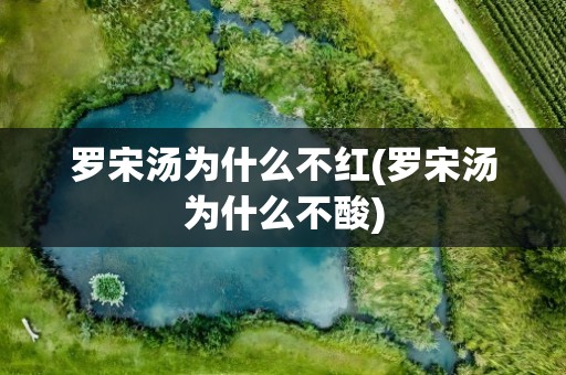 罗宋汤为什么不红(罗宋汤为什么不酸)