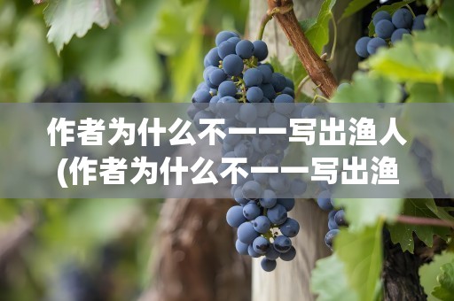 作者为什么不一一写出渔人(作者为什么不一一写出渔人的作品)