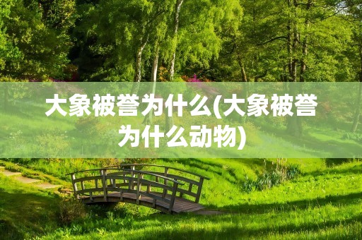 大象被誉为什么(大象被誉为什么动物)