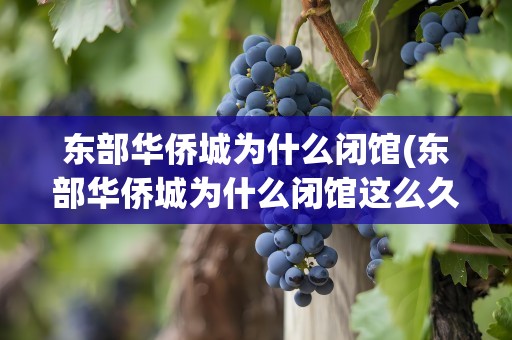 东部华侨城为什么闭馆(东部华侨城为什么闭馆这么久)