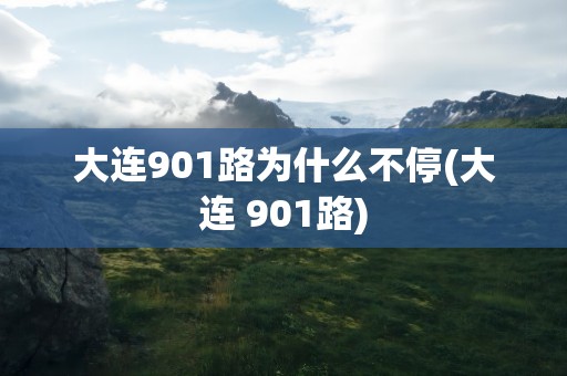 大连901路为什么不停(大连 901路)