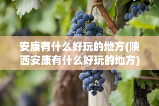 安康有什么好玩的地方(陕西安康有什么好玩的地方)