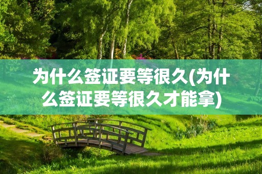 为什么签证要等很久(为什么签证要等很久才能拿)