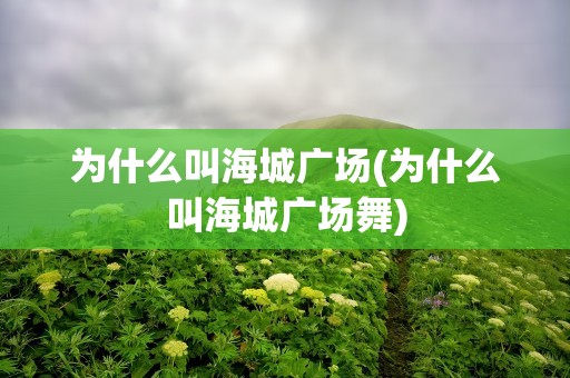 为什么叫海城广场(为什么叫海城广场舞)