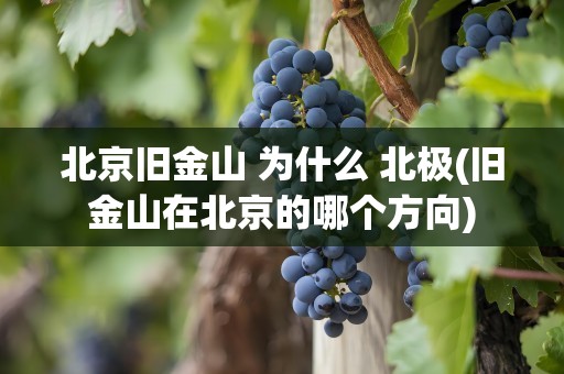 北京旧金山 为什么 北极(旧金山在北京的哪个方向)