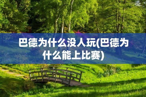 巴德为什么没人玩(巴德为什么能上比赛)