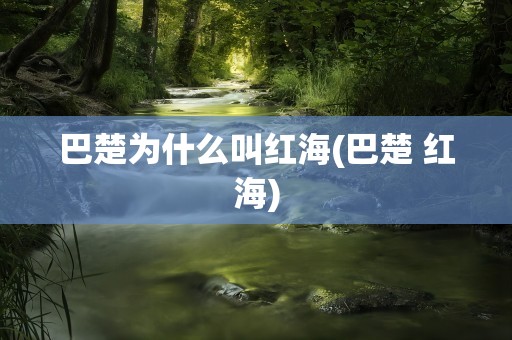 巴楚为什么叫红海(巴楚 红海)