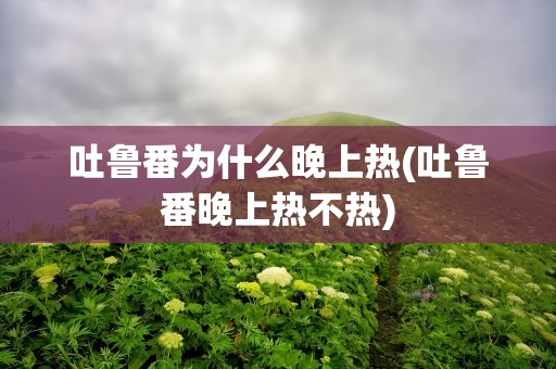 吐鲁番为什么晚上热(吐鲁番晚上热不热)