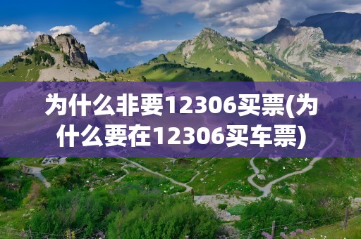 为什么非要12306买票(为什么要在12306买车票)