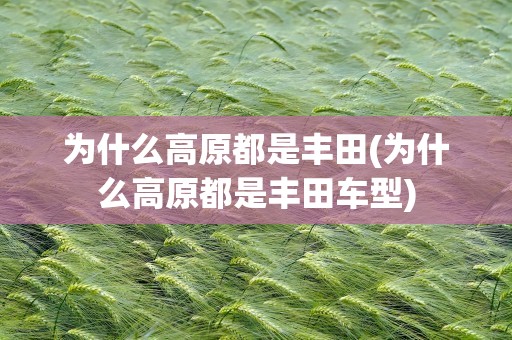 为什么高原都是丰田(为什么高原都是丰田车型)