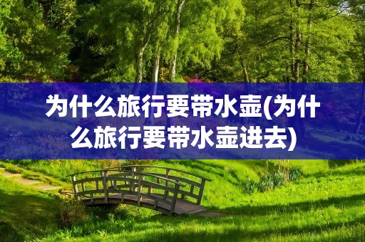 为什么旅行要带水壶(为什么旅行要带水壶进去)