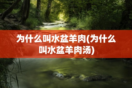 为什么叫水盆羊肉(为什么叫水盆羊肉汤)