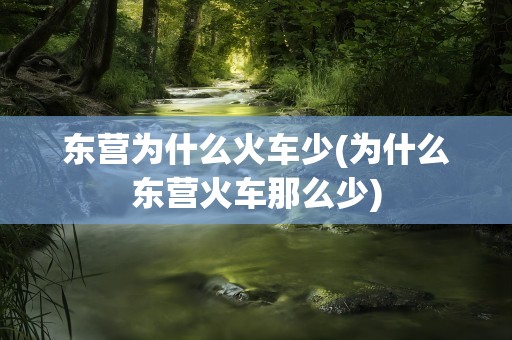 东营为什么火车少(为什么东营火车那么少)