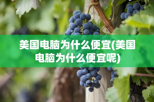 美国电脑为什么便宜(美国电脑为什么便宜呢)