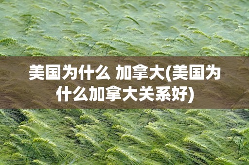 美国为什么 加拿大(美国为什么加拿大关系好)