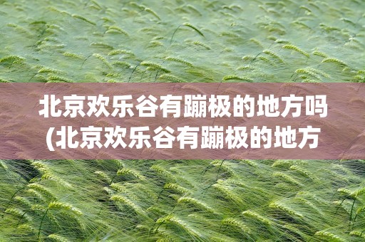北京欢乐谷有蹦极的地方吗(北京欢乐谷有蹦极的地方吗现在)