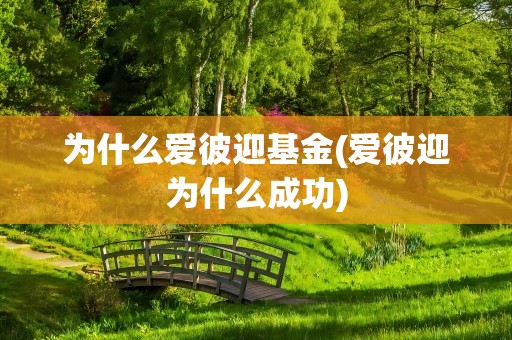 为什么爱彼迎基金(爱彼迎为什么成功)