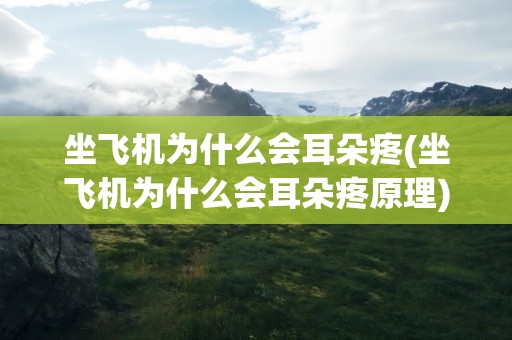 坐飞机为什么会耳朵疼(坐飞机为什么会耳朵疼原理)