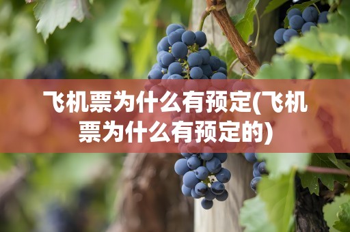 飞机票为什么有预定(飞机票为什么有预定的)