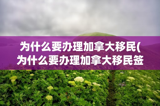 为什么要办理加拿大移民(为什么要办理加拿大移民签证)