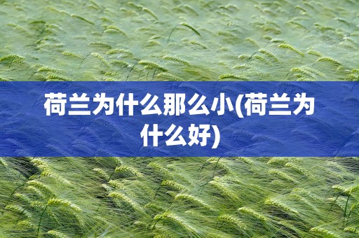 荷兰为什么那么小(荷兰为什么好)