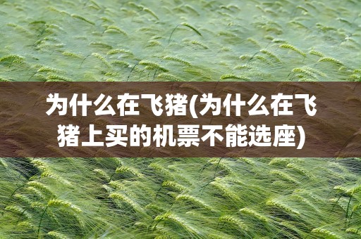 为什么在飞猪(为什么在飞猪上买的机票不能选座)