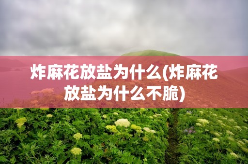 炸麻花放盐为什么(炸麻花放盐为什么不脆)