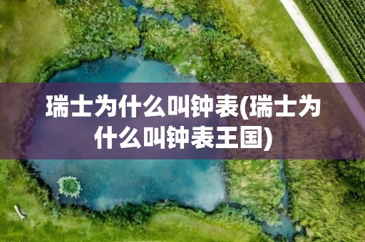瑞士为什么叫钟表(瑞士为什么叫钟表王国)