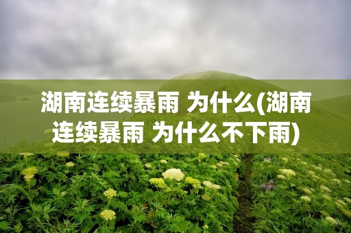湖南连续暴雨 为什么(湖南连续暴雨 为什么不下雨)