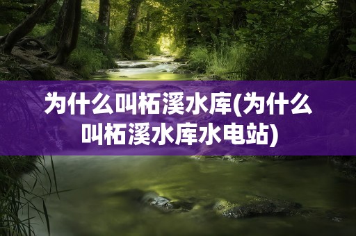 为什么叫柘溪水库(为什么叫柘溪水库水电站)