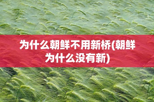 为什么朝鲜不用新桥(朝鲜为什么没有新)