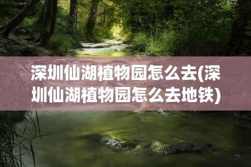 深圳仙湖植物园怎么去(深圳仙湖植物园怎么去地铁)