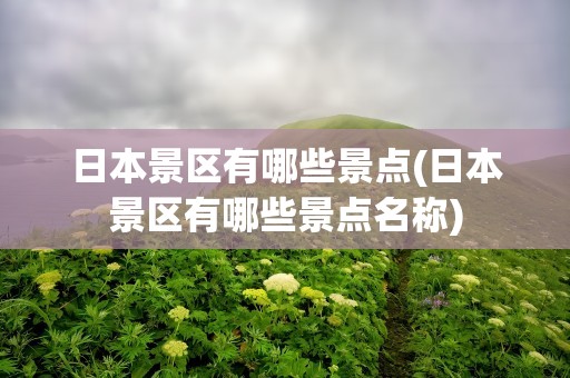 日本景区有哪些景点(日本景区有哪些景点名称)
