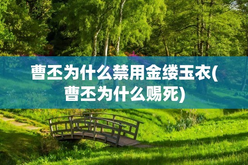 曹丕为什么禁用金缕玉衣(曹丕为什么赐死)