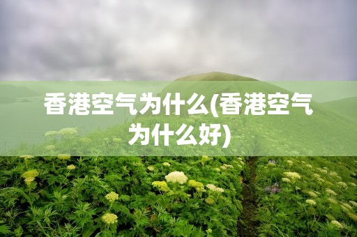 香港空气为什么(香港空气为什么好)