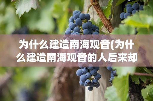 为什么建造南海观音(为什么建造南海观音的人后来却死在海上)
