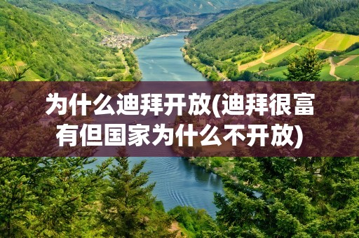 为什么迪拜开放(迪拜很富有但国家为什么不开放)
