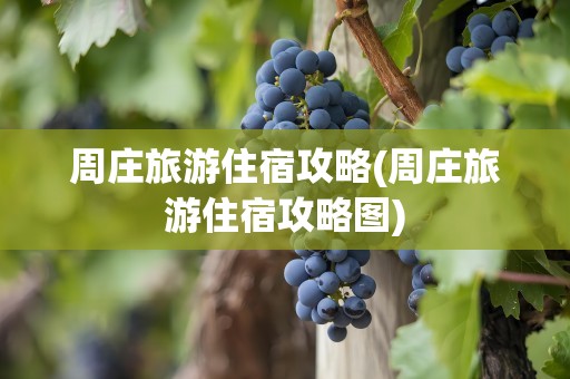 周庄旅游住宿攻略(周庄旅游住宿攻略图)